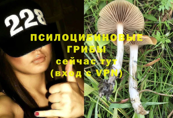 молекула духа Алзамай